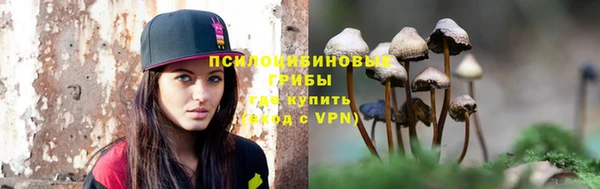 герыч Ступино
