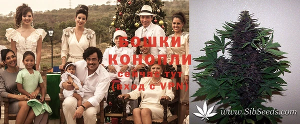 стафф Балахна