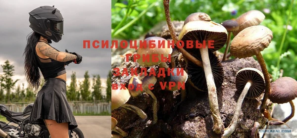стафф Балахна
