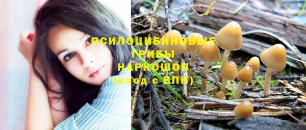 apvp Баксан