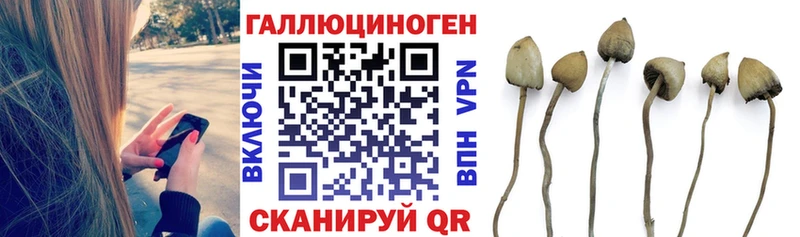 купить наркотики цена  Лахденпохья  Галлюциногенные грибы мухоморы 